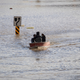 People who were stranded by high water due to flooding are rescued by a volunteer operating a boat in Abbotsford, British Columbia.